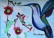 Connie Bright Hummingbird Blues
