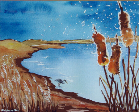 Cattail Marsh