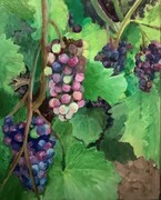 Margaret Klappstein Hanging Grapes1 4x12 $168