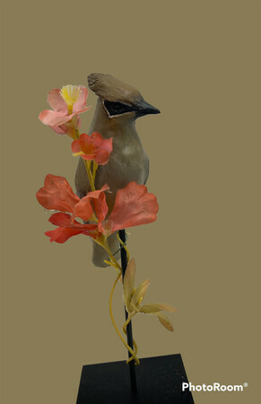 Waxwing, Kay McCormack, Clay and Paint, $85